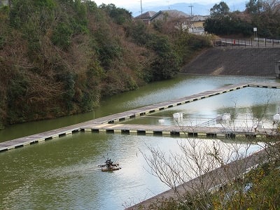 根来桜台鯉つりセンター